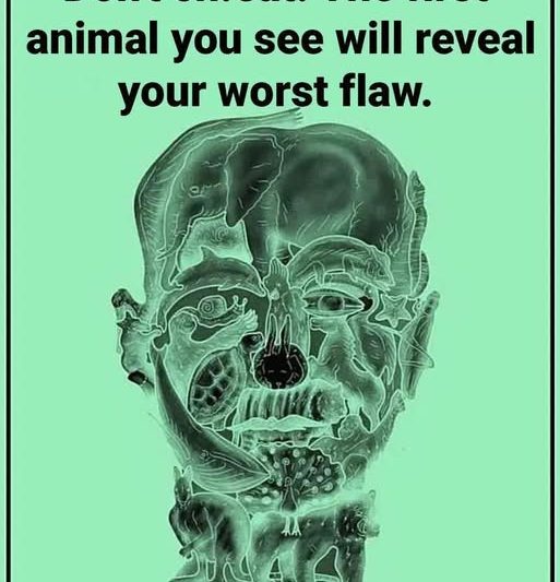 The First Animal You See in This Optical Illusion Might Reveal Your Biggest Flaw