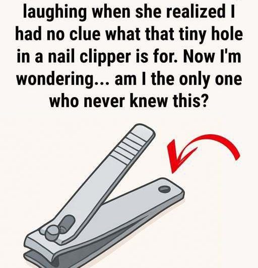 Why Your Nail Clipper Has That Small Round Hole and Why It Still Matters Today