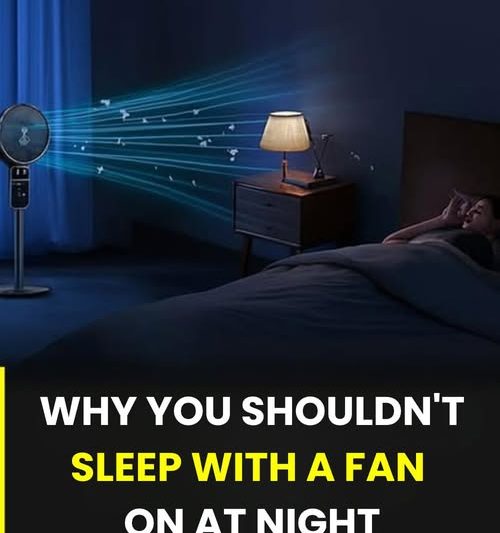 The Invisible Draft: 5 Signs Your Body Rejects Sleeping with a Fan